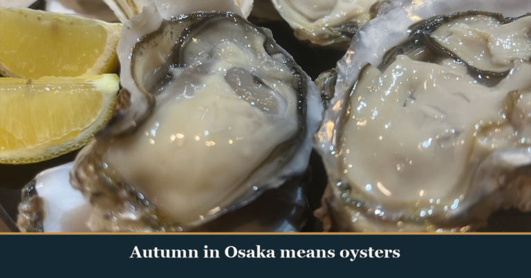 Raw oysters in the shell with lemon wedges on a black plate at Kaiebi, a 6-seat seafood counter in Shinsaibashi, Osaka