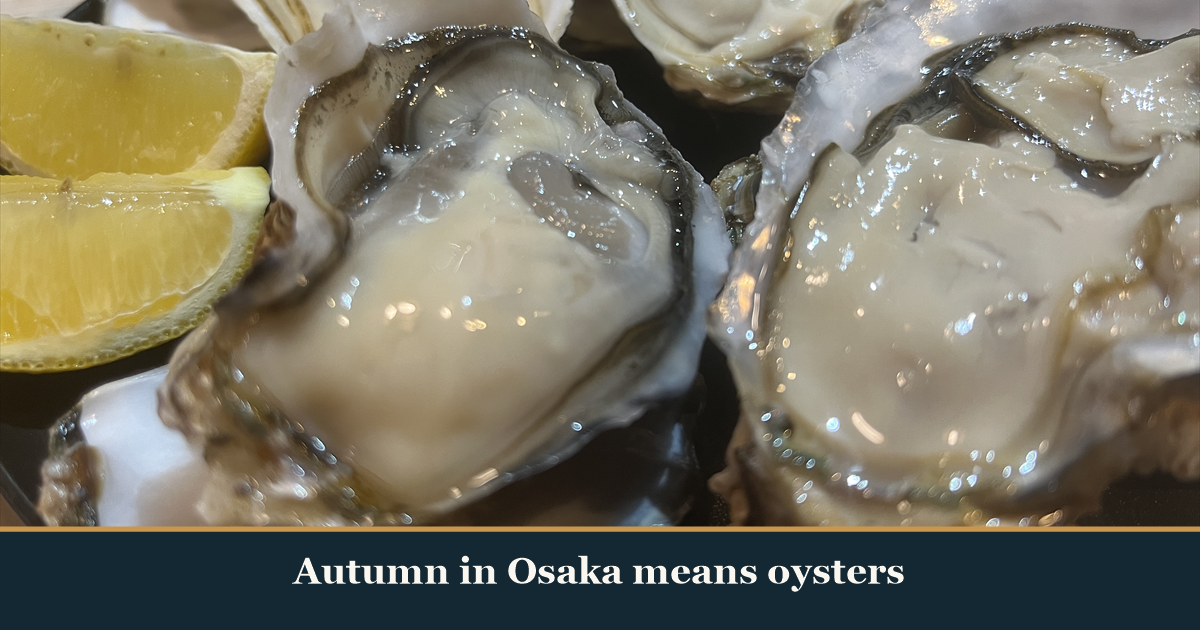 Raw oysters in the shell with lemon wedges on a black plate at Kaiebi, a 6-seat seafood counter in Shinsaibashi, Osaka